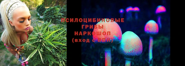 каннабис Зеленокумск