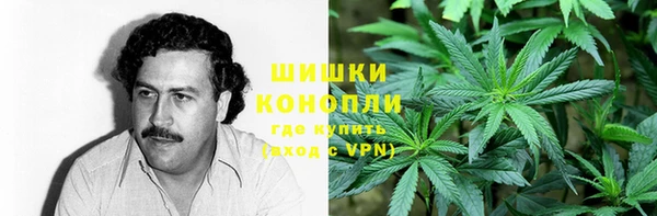 стаф Заволжье