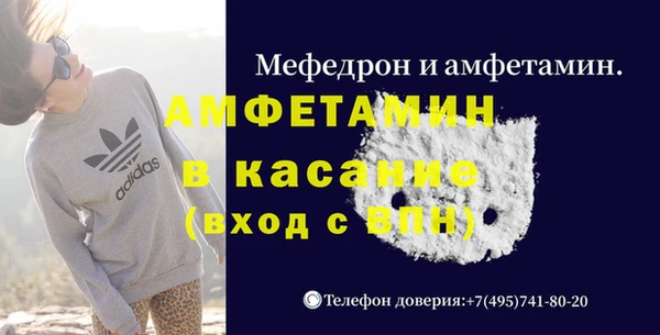 сатива Заводоуковск