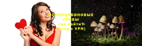 стаф Заволжье