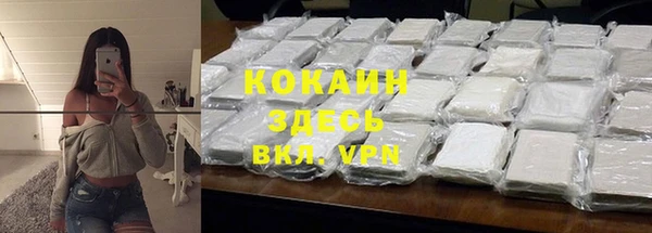 стаф Зерноград